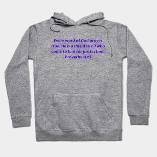 Bible Verse Proverbs 30:5 Hoodie